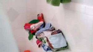 Disinfection Cleaning Service Glendale Ca