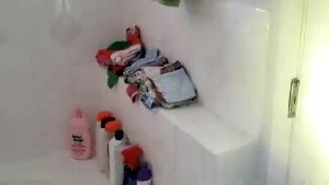 Disinfection Cleaning Service La Canada Flintridge Ca