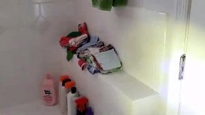 Disinfection Cleaning Service Lakewood Ca