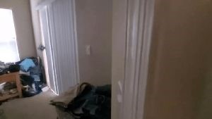 Disinfection Cleaning Service Forest Falls Ca