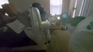 Outdoor Disinfecting Services Alhambra Ca