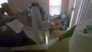 Outdoor Disinfecting Services Avalon Ca