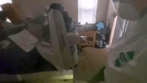 Outdoor Disinfecting Services Bellflower Ca