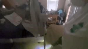 Outdoor Disinfecting Services Bradbury Ca