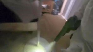 Outdoor Disinfecting Services Carson Ca