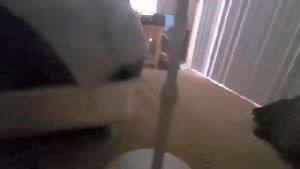 Outdoor Disinfecting Services El Segundo Ca