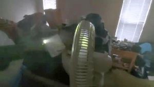 Outdoor Disinfecting Services La Verne Ca