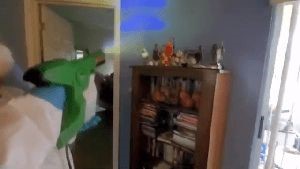 Outdoor Disinfecting Services Seal Beach Ca