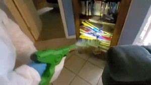 Outdoor Disinfecting Services Redlands Ca