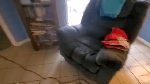 Professional Disinfecting Services