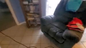 Professional Disinfecting Services Agoura Hills Ca