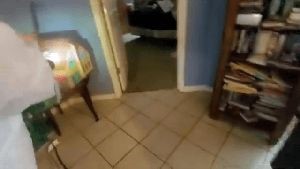 Professional Disinfecting Services Avalon Ca