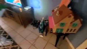 Professional Disinfecting Services Industry Ca