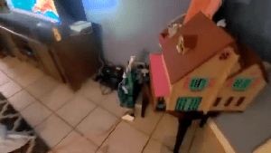 Professional Disinfecting Services Inglewood Ca