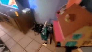 Professional Disinfecting Services Irwindale Ca