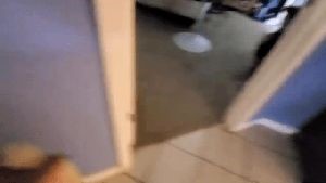 Professional Disinfecting Services La Verne Ca