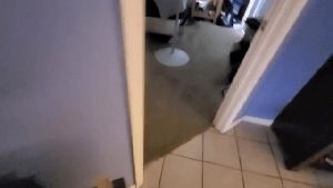 Professional Disinfecting Services Long Beach Ca