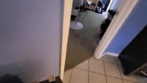 Professional Disinfecting Services Lynwood Ca