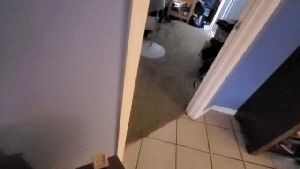 Professional Disinfecting Services Manhattan Beach Ca