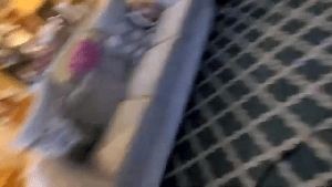 Professional Disinfecting Services Anaheim Ca