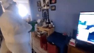 Professional Disinfecting Services Dana Point Ca