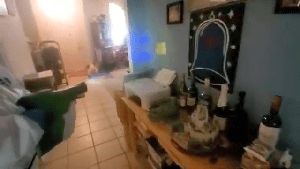 Professional Disinfecting Services Mission Viejo Ca