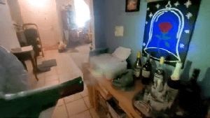 Professional Disinfecting Services Silverado Ca