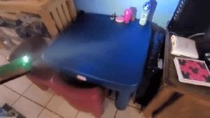 Professional Disinfecting Services Victorville Ca