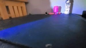 Professional Disinfecting Services Indian Wells Ca