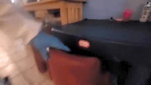 Professional Disinfecting Services Temecula Ca