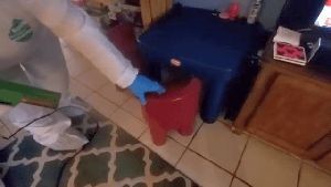 Residential Cleaning Service Burbank Ca