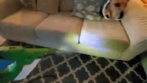 Residential Cleaning Service Hawthorne Ca