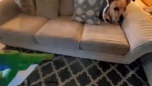 Residential Cleaning Service Hidden Hills Ca