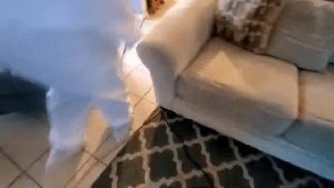 Residential Cleaning Service Maywood Ca