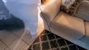 Residential Cleaning Service Monrovia Ca