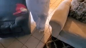 Residential Cleaning Service Norwalk Ca