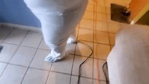 Residential Cleaning Service Temple City Ca