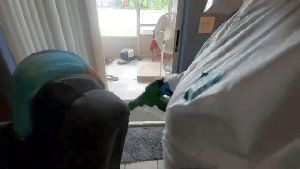 Residential Cleaning Service Irvine Ca