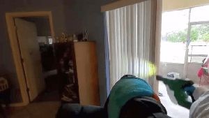 Residential Cleaning Service Apple Valley Ca