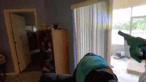 Residential Cleaning Service Bloomington Ca