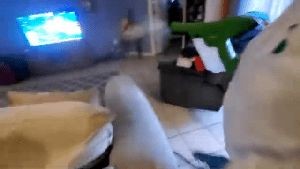 Electrostatic Services Commerce Ca