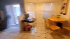 Electrostatic Services Industry Ca