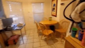 Electrostatic Services Inglewood Ca