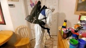 Electrostatic Services Lomita Ca