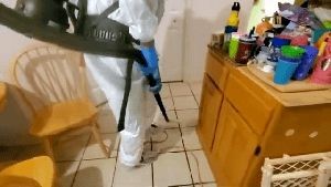 Electrostatic Services Paramount Ca