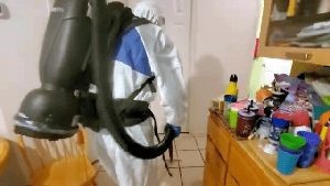 Electrostatic Services Santa Monica Ca