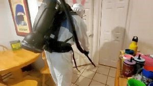 Electrostatic Services Cypress Ca