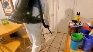 Electrostatic Services Laguna Woods Ca