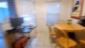 Electrostatic Services Lake Arrowhead Ca