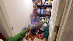 Fogging Services Bellflower Ca